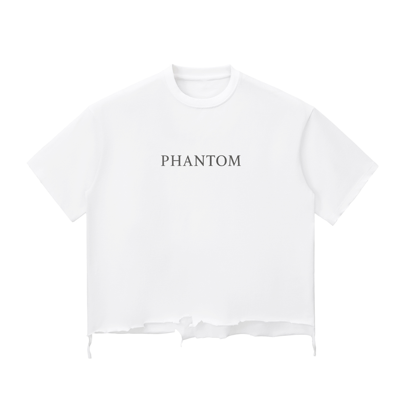 Claw Through Snow Wash Distressed T-Shirt